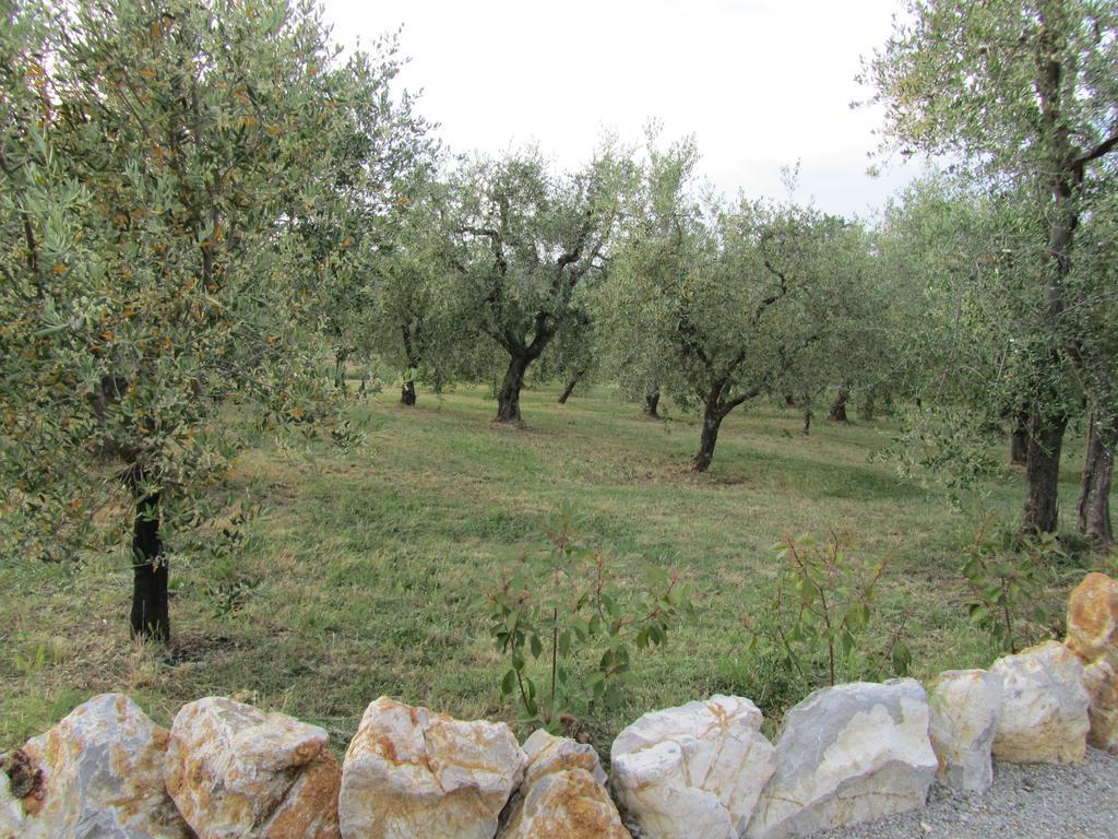 Agriturismo Borghetto Il Montino Rapolano Terme Buitenkant foto