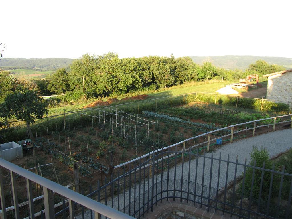 Agriturismo Borghetto Il Montino Rapolano Terme Buitenkant foto