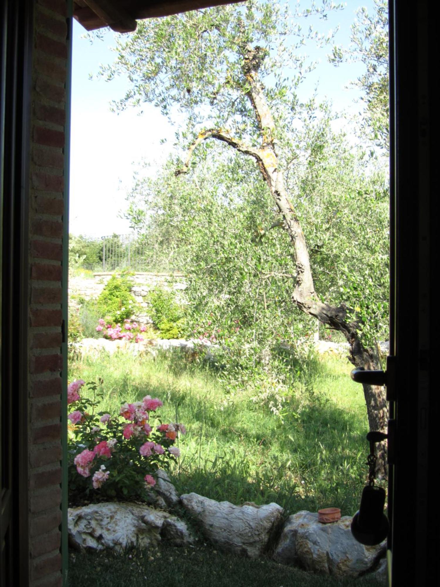 Agriturismo Borghetto Il Montino Rapolano Terme Buitenkant foto