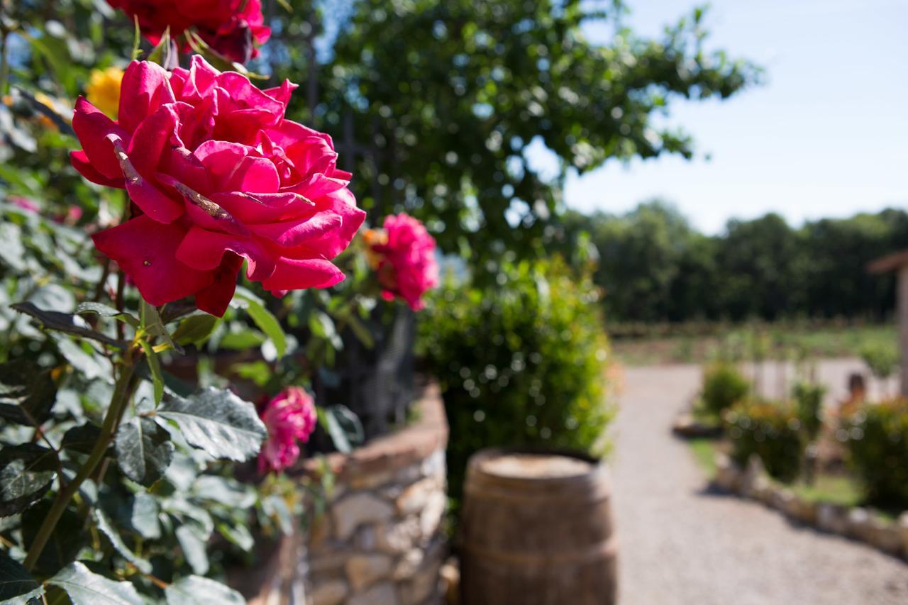 Agriturismo Borghetto Il Montino Rapolano Terme Buitenkant foto