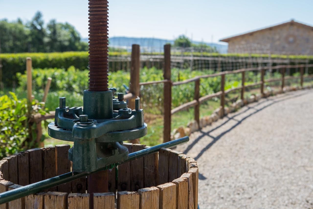 Agriturismo Borghetto Il Montino Rapolano Terme Buitenkant foto